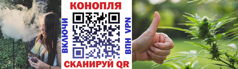 купить наркотик  Красный Сулин  Бошки Шишки OG Kush 